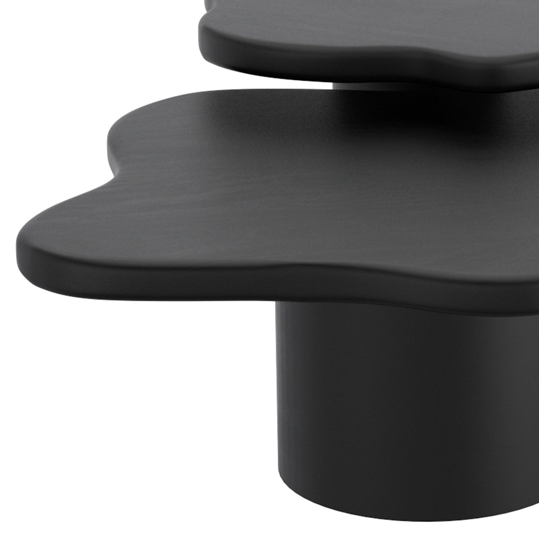 Norvella Mid-Century Modern Coffee Table – Freeform Solid Mango Wood Top with Pedestal Base (Black Finish)